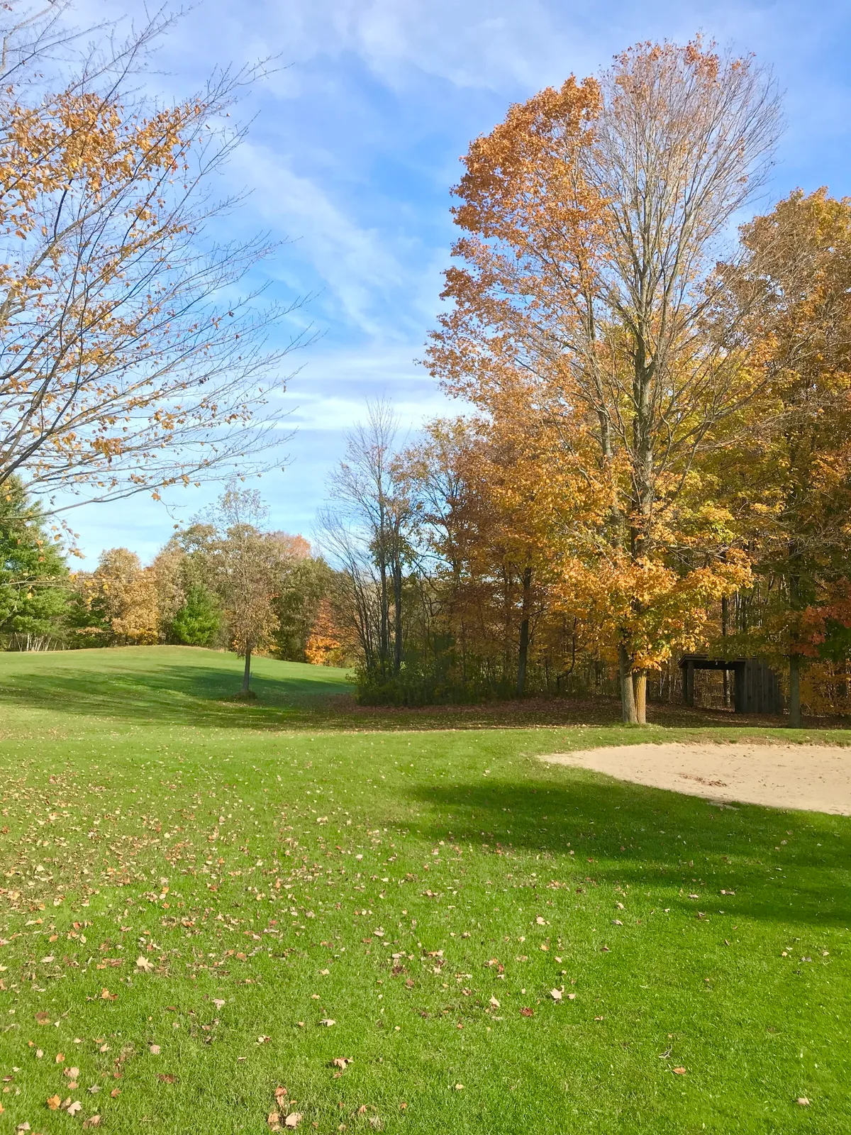 Tincap Golf Club Public golf course — photo 0