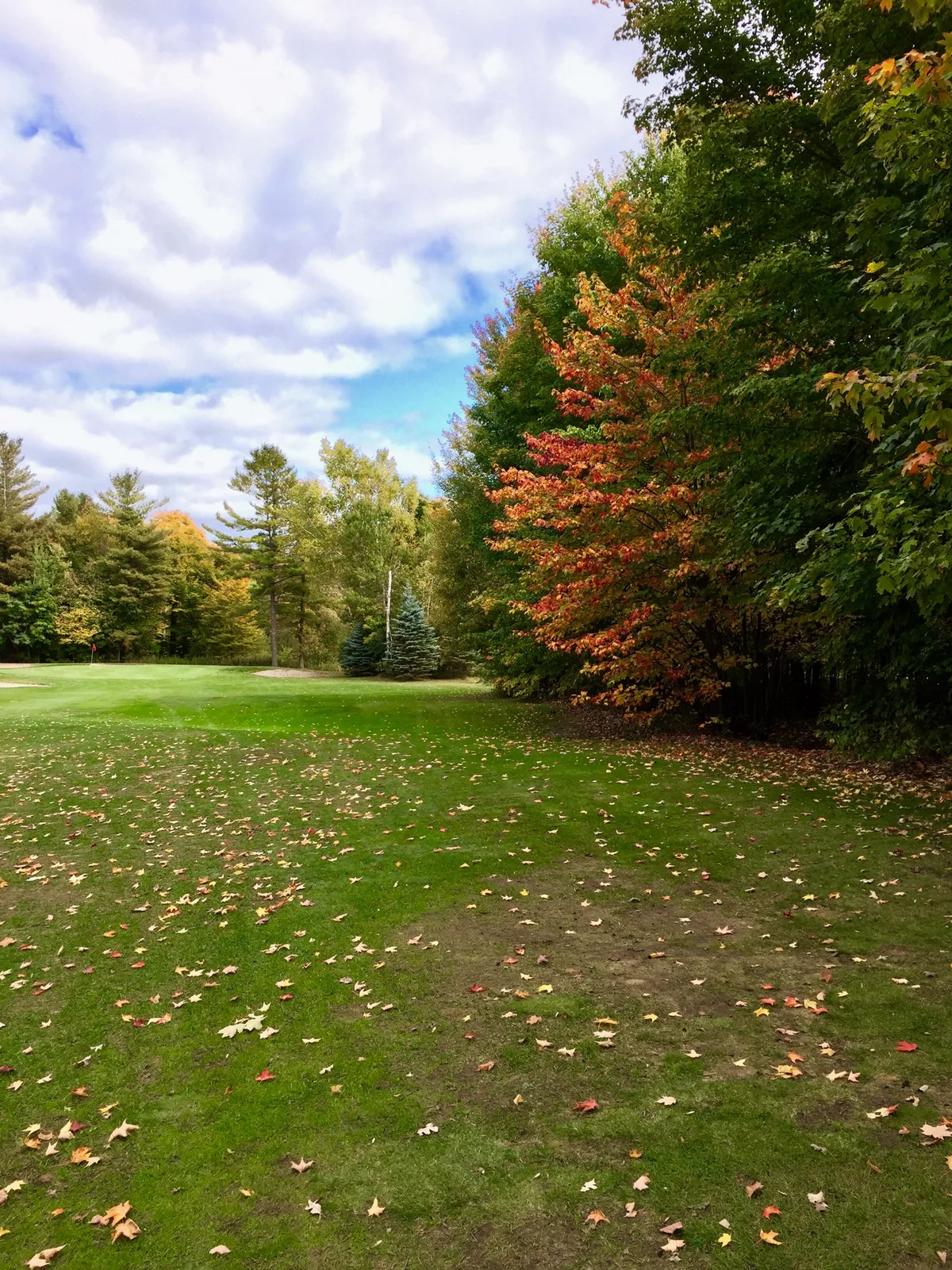 Tincap Golf Club Public golf course — photo 4